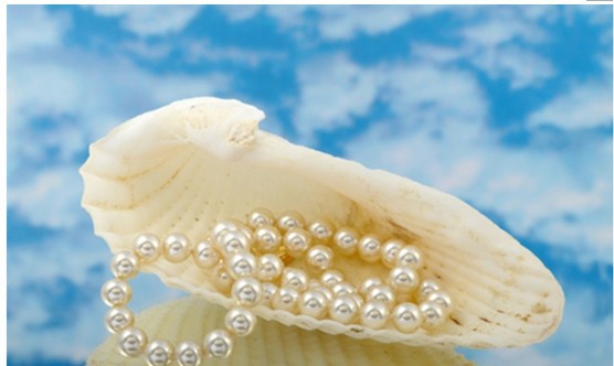 Popular rice shaped natural freshwater pearl bracelet with drum shaped agate and pearl bracelet for women