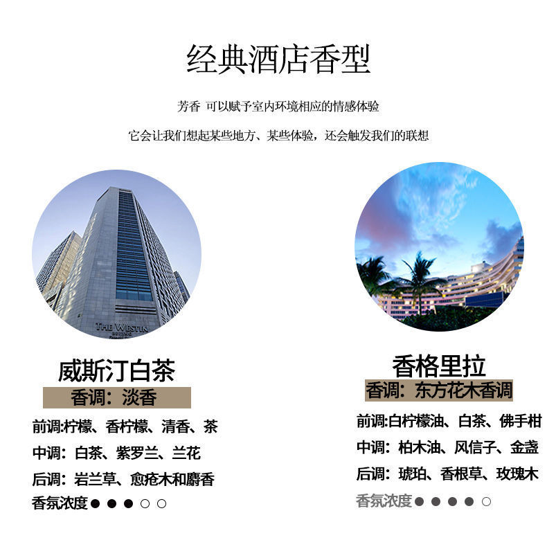 20ML Aromatherapy Essential Oil Humidifier Aromatherapy Machine Dedicated Lavender Bedroom Long lasting Room Fragrance Stone Essential Oil